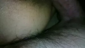 ஜப்பானிய கட்டானா ரிம்ஸ் ஹங்கி ஃபெல்லா